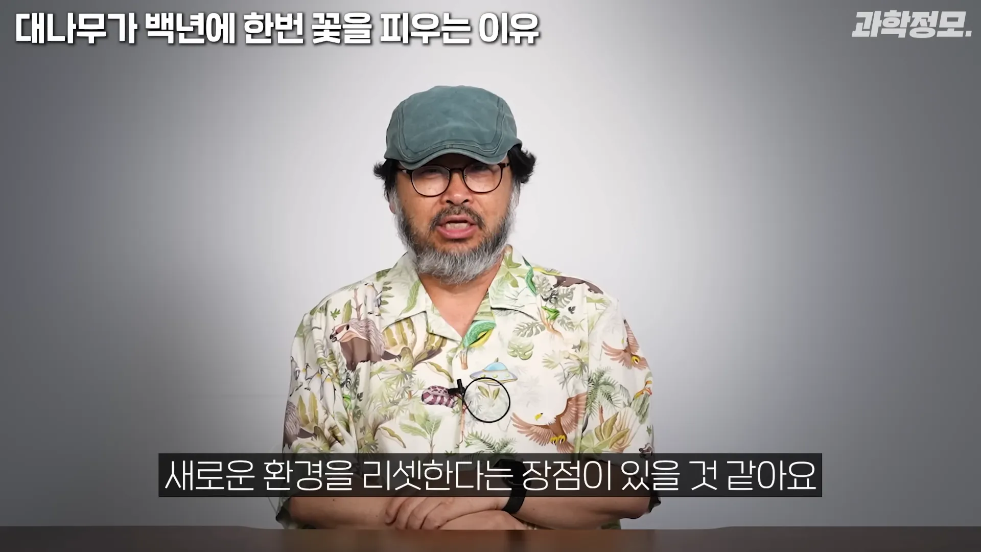 백 년에 한번 꽃이 피는 대나무는 어떻게 번식해온 걸까_ _ 과학정모 EP.42 4-27 screenshot.webp