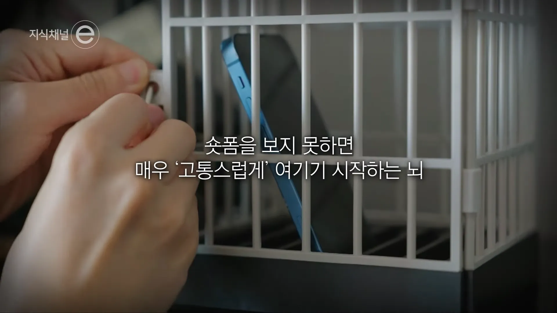 [EBS] ‘이것만 보고 자야지’가 무서운 이유 _ 당신의 뇌 썩음! _ #지식채널e 1-41 screenshot.webp