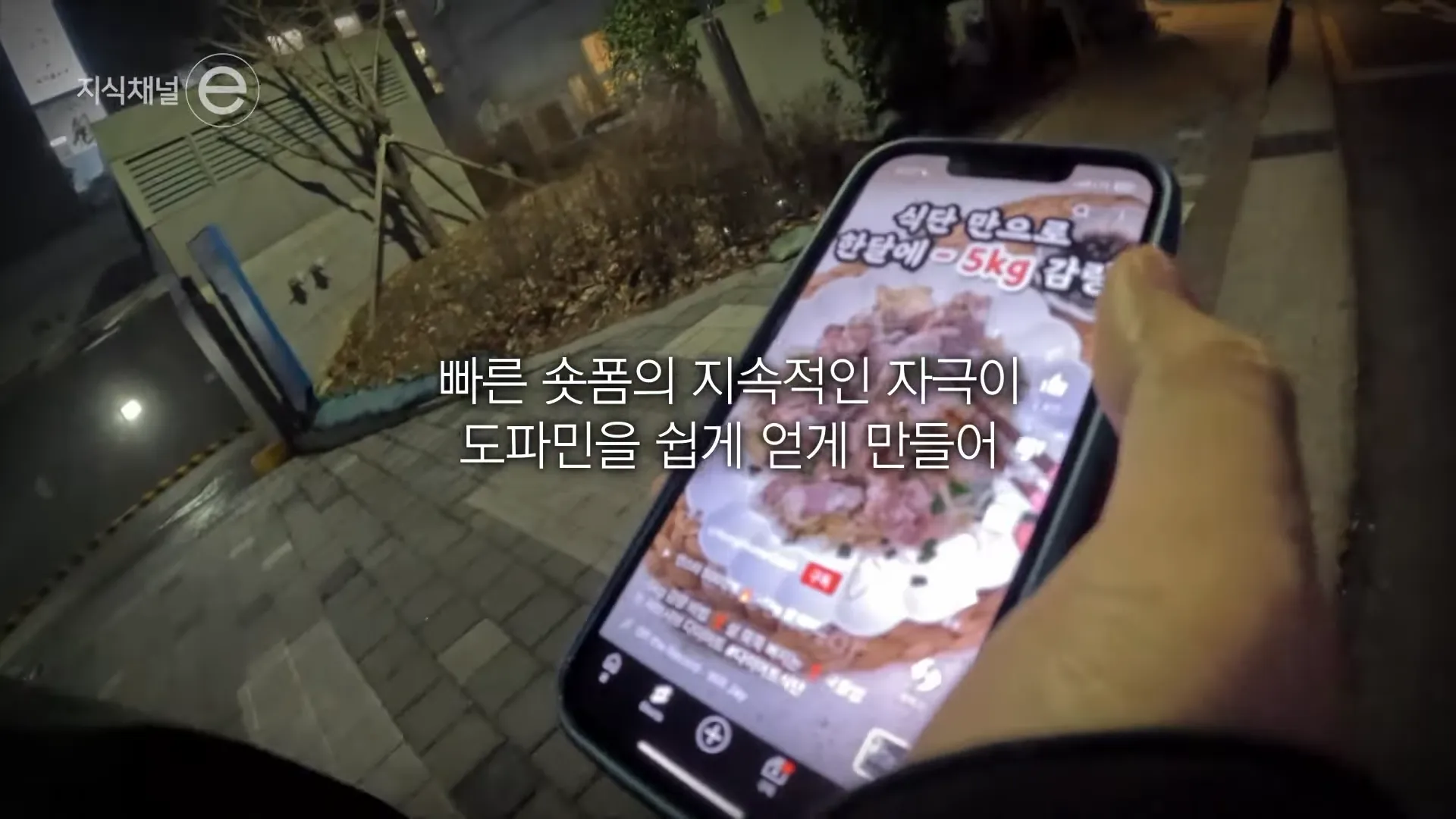 [EBS] ‘이것만 보고 자야지’가 무서운 이유 _ 당신의 뇌 썩음! _ #지식채널e 1-29 screenshot.webp