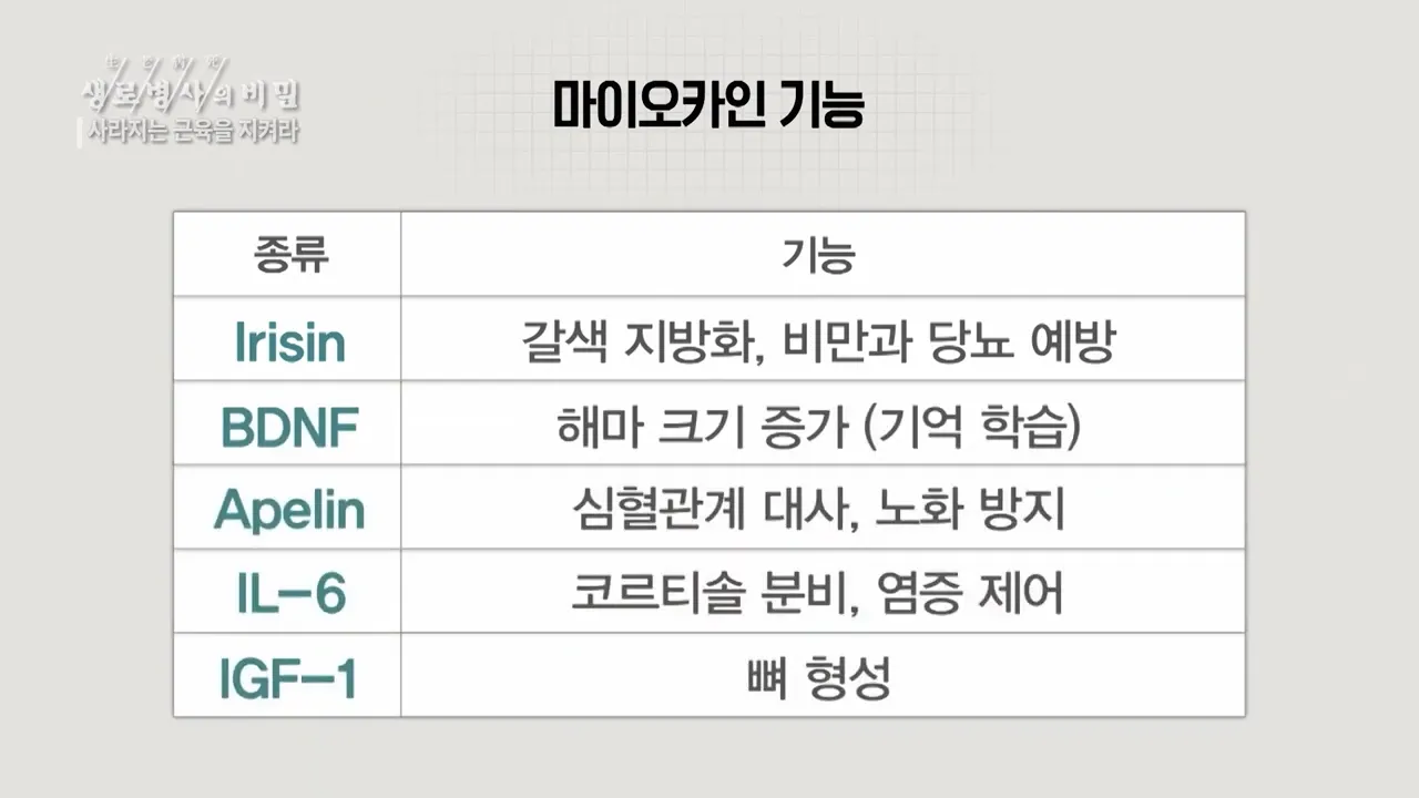 근육에서 분비되는 ',마이오카인',의 긍정적 기능 - 사라지는 근육을 지켜라 (KBS_762회_20210127) 0-37 screenshot.webp