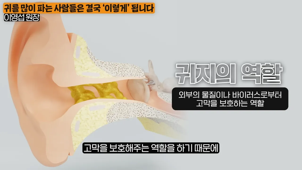 상상 못할 곳에 퍼진다_ 이비인후과 원장이 알려주는 귀를 파면 안되는 진짜 이유 (이영섭 원장 1부) 2-42 screenshot.webp
