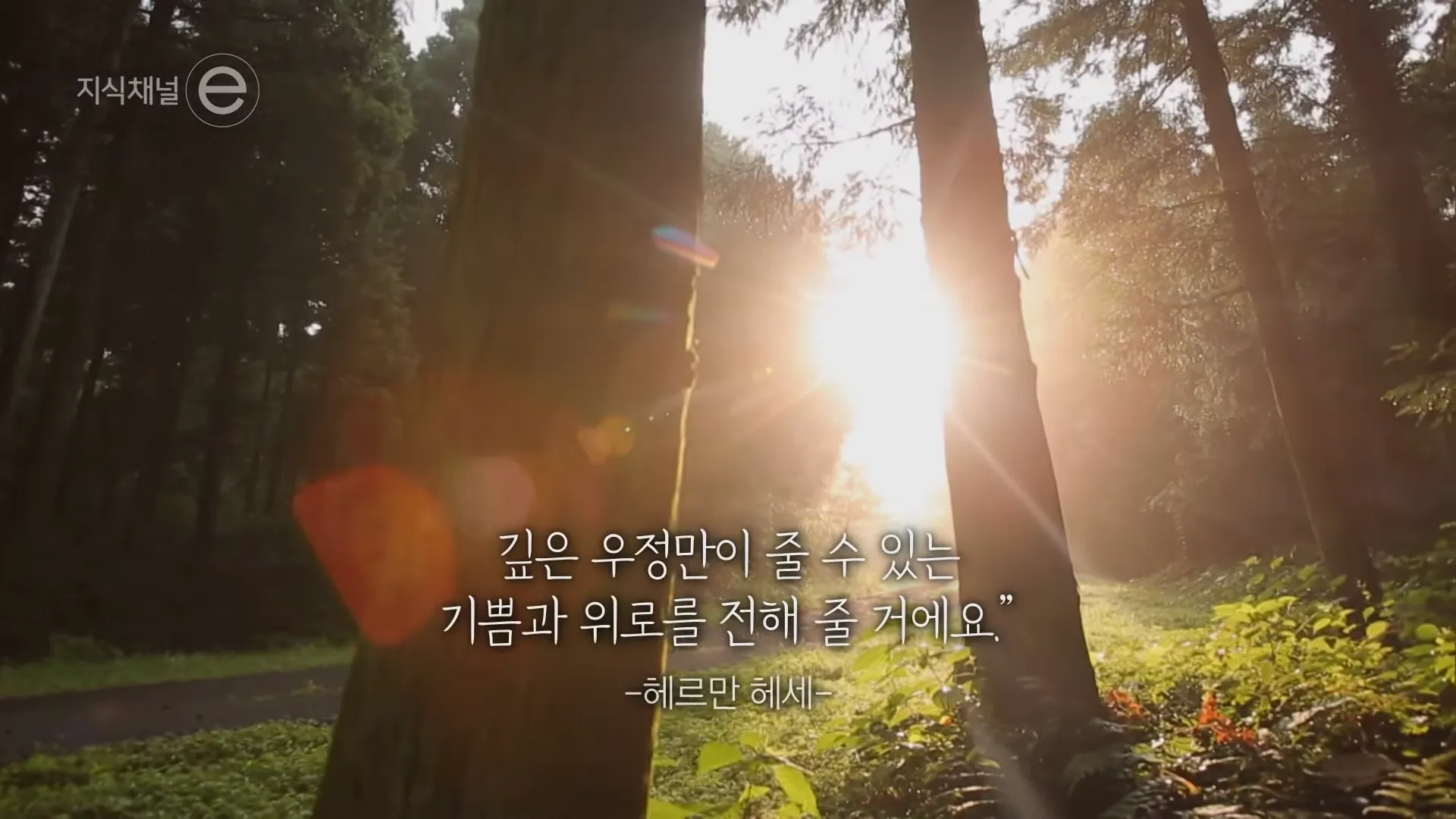 지식채널e - 책, 어떻게 읽어야 할까_ 4-36 screenshot.webp