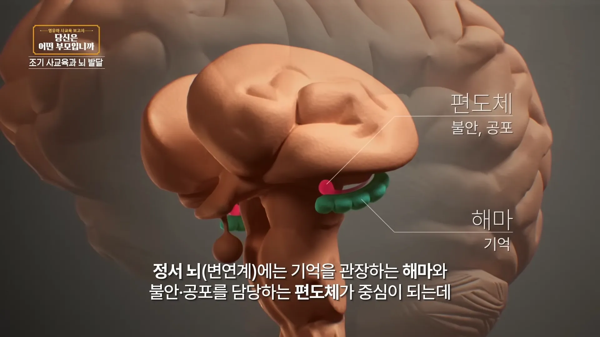 빨리 배운다는 것은 희생하는 게 있는 거예요_ 레벨테스트 통과만으로도 서울대 합격처럼 기뻐하는 부모, 내 아이의 뇌는 괜찮을까_🧠 _ 영유아 사교육 보고서 _ #교육다큐멘터리 15-6 screenshot.webp