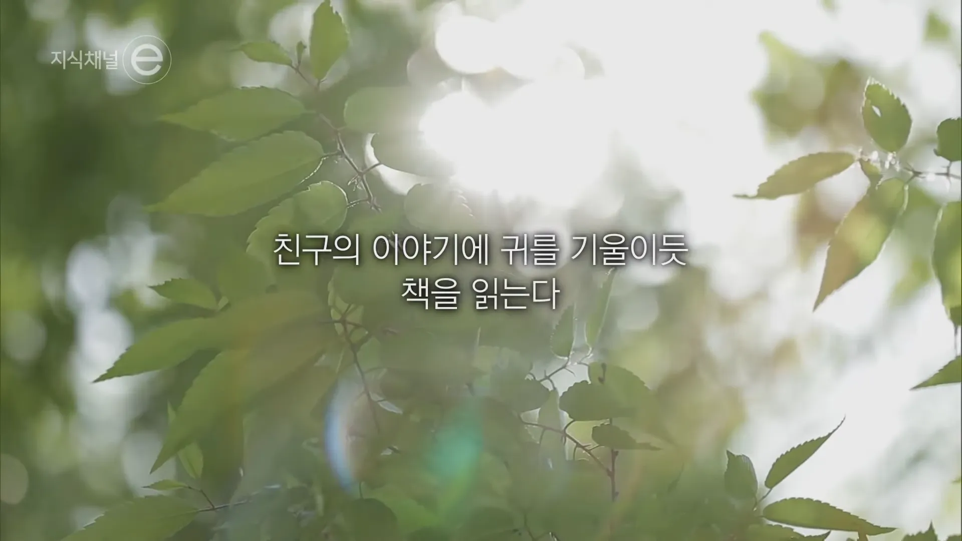 지식채널e - 책, 어떻게 읽어야 할까_ 4-25 screenshot.webp