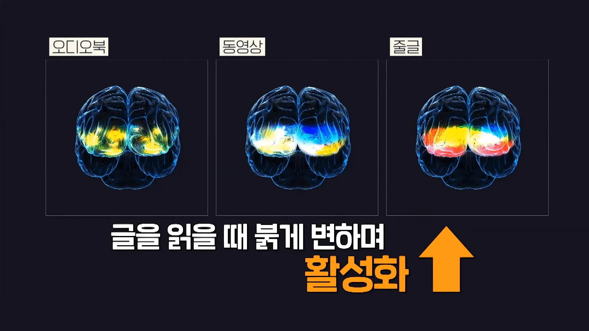 EBS ',당신의 문해력', - 글 VS 오디오 VS 동영상 _ 매체에 따라 우리 뇌는 어떻게 반응할까요_ (OBELAB 오비이랩 NIRSIT LITE) 2-17 screenshot.webp