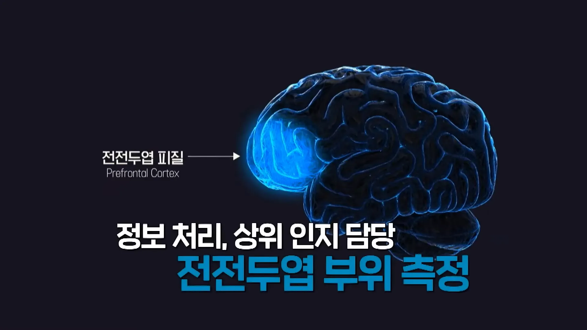 EBS ',당신의 문해력', - 글 VS 오디오 VS 동영상 _ 매체에 따라 우리 뇌는 어떻게 반응할까요_ (OBELAB 오비이랩 NIRSIT LITE) 1-37 screenshot.webp