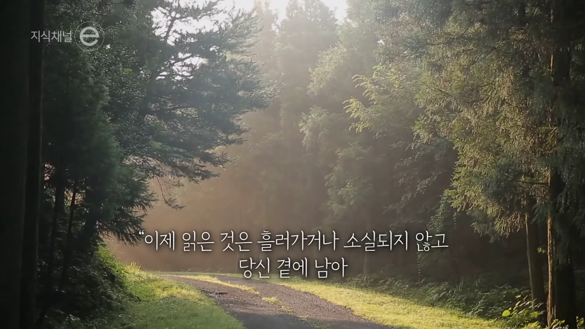 지식채널e - 책, 어떻게 읽어야 할까_ 4-31 screenshot.webp