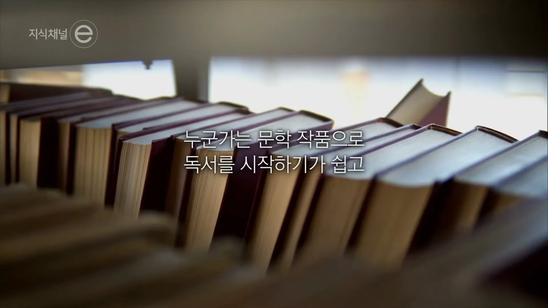 지식채널e - 책, 어떻게 읽어야 할까_ 3-48 screenshot.webp