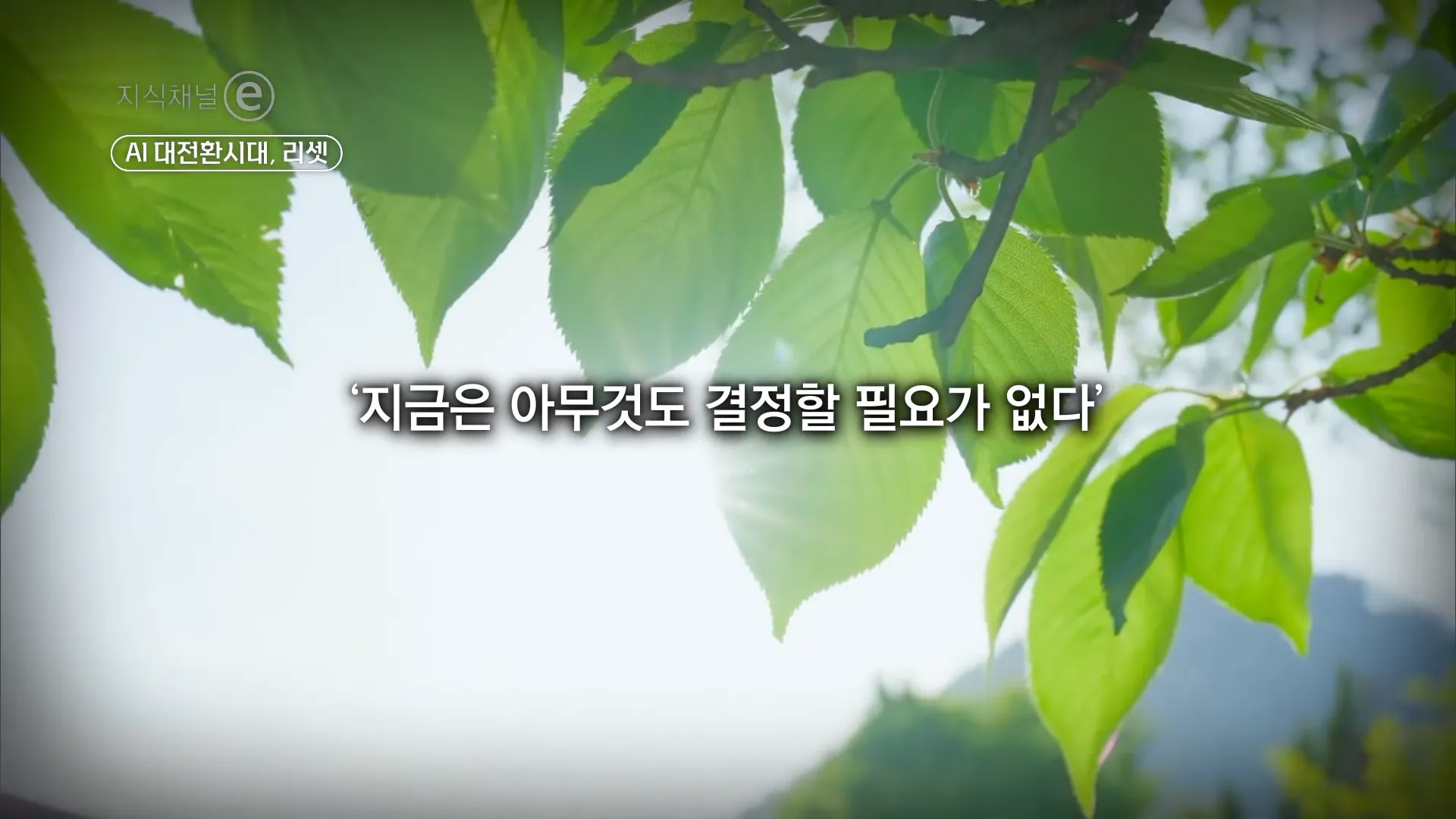 제대로 잘 쉬는 법 _ 우리에게 필요한 쉼의 기술 _ #지식채널e 3-39 screenshot.webp
