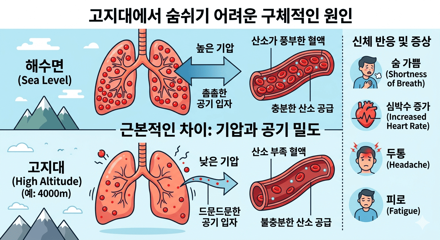 image_27cab499.png